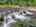 Blurred preview of media: 9i