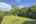 Blurred preview of media: IMG_1950
