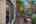 Blurred preview of media: DSC09069