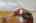 Blurred preview of media: 850_8586
