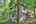 Blurred preview of media: IMG_3138_39_40_easyHDR