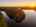 Blurred preview of media: TWI-DJI_0021-HDR