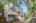 Blurred preview of media: 1-42