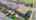 Blurred preview of media: 145