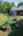 Blurred preview of media: 828 Exteriors-147