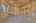 Blurred preview of media: NZ9_9518