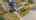 Blurred preview of media: 053