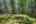 Blurred preview of media: PAX_2117