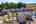 Blurred preview of media: 1-46