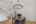 Blurred preview of media: 1309 Hideaway Drive S-38