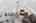 Blurred preview of media: 64 Ravina Cres, Ancaster _ Nathan Ferro64