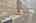 Blurred preview of media: 032