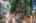 Blurred preview of media: 1-43