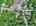 Blurred preview of media: DJI_20260613114334_0728_D_29_D_30_D_easyHDR