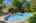 Blurred preview of media: Nerine_022