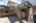 Blurred preview of media: un-50