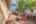 Blurred preview of media: 129MorrisSt-9