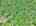 Blurred preview of media: DJI_20260527104909_0143_D_4_D_5_D_easyHDR