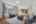 Blurred preview of media: 022