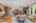 Blurred preview of media: 1-9