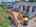 Blurred preview of media: DJI_20260624132845_0218_D_19_D_20_D_easyHDR
