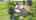 Blurred preview of media: DJI_0765