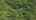 Blurred preview of media: 3