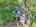 Blurred preview of media: DJI_20250602144907_0556_D_7_D_8_D_easyHDR