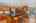Blurred preview of media: 1-28