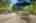 Blurred preview of media: 46