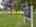 Blurred preview of media: Kenton Park 04