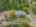 Blurred preview of media: SW Boundary st-57