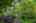 Blurred preview of media: SW Boundary st-50