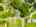 Blurred preview of media: 2-626-0136
