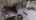 Blurred preview of media: 4-La-Jolla-Ln-02232022_202417