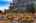 Blurred preview of media: River Terrace 01