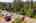 Blurred preview of media: 1-50