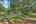 Blurred preview of media: 4519 Columbus Circle 1A-3