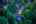 Blurred preview of media: 4Sept0021