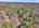 Blurred preview of media: DJI_20260408121519_0454_D_19_0455_D_20_0456_D_easyHDR