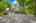 Blurred preview of media: 2-726-1135