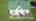 Blurred preview of media: DJI_0930