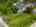 Blurred preview of media: DJI_0913
