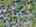 Blurred preview of media: DJI_20260923120729_0791_D_2_D_3_D_easyHDR