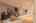 Blurred preview of media: 041