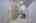 Blurred preview of media: IMG_0050
