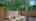 Blurred preview of media: 141Poinsettia-6