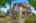 Blurred preview of media: 05