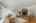 Blurred preview of media: 260159-17