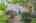 Blurred preview of media: 16 Abel Jones Place Acton Massachusetts Job 40418 0004